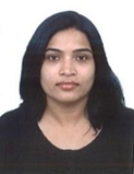 Paripurna NS
